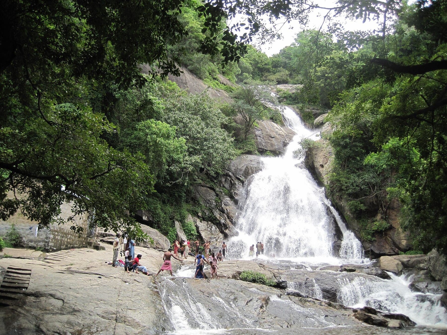 Monkey Falls — Sashvika Cabs