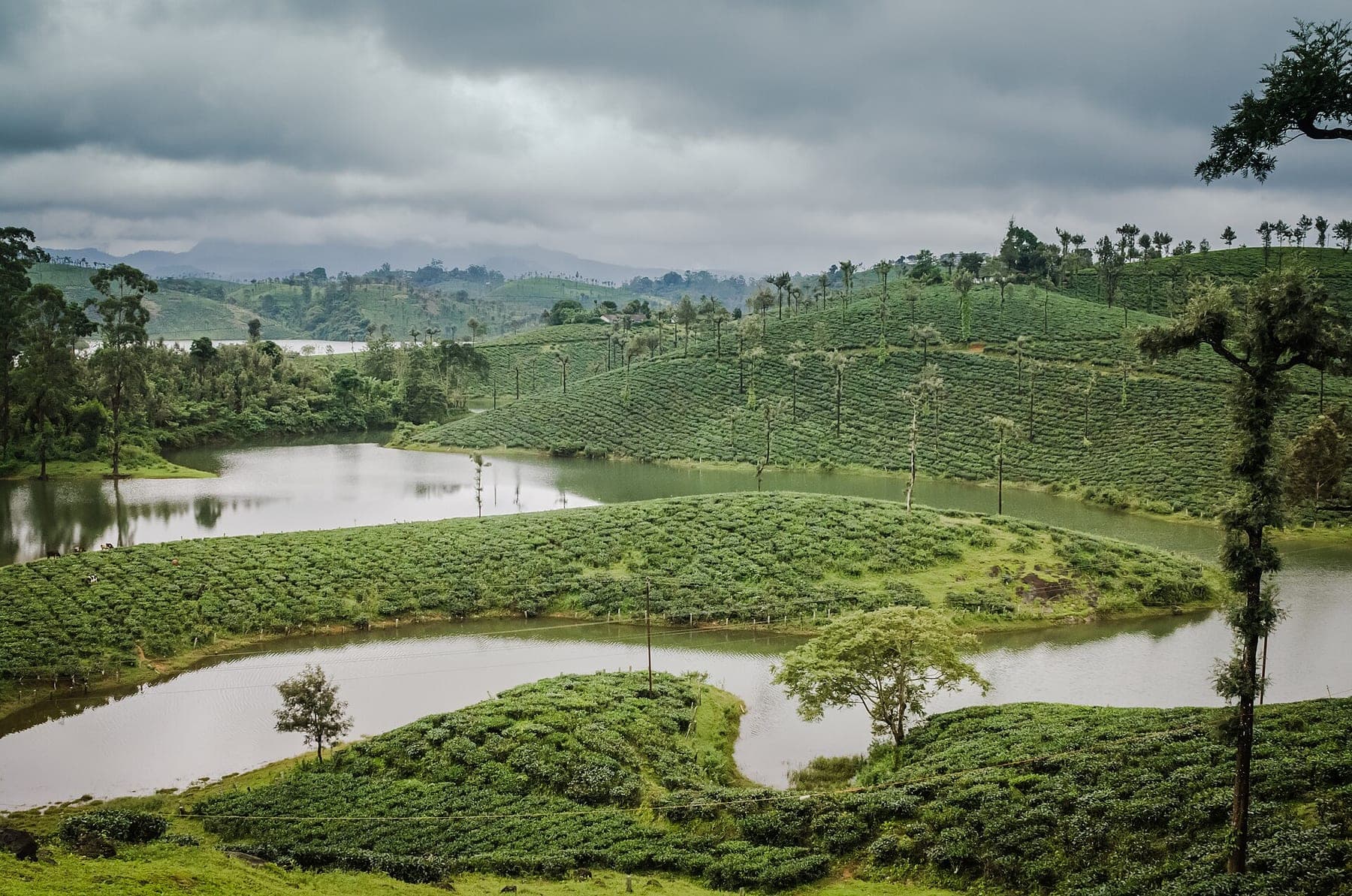 Valparai — Sashvika Cabs