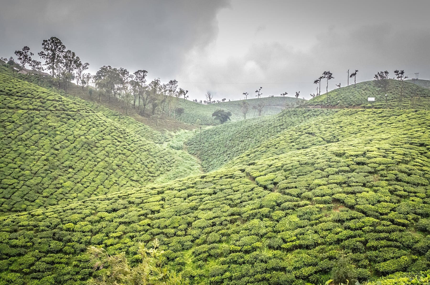 Valparai One-Day Taxi Trip — Sashvika Cabs