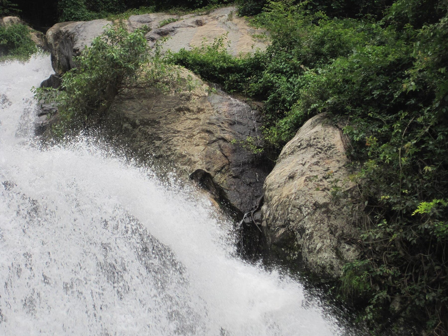 Monkey Falls — Sashvika Cabs