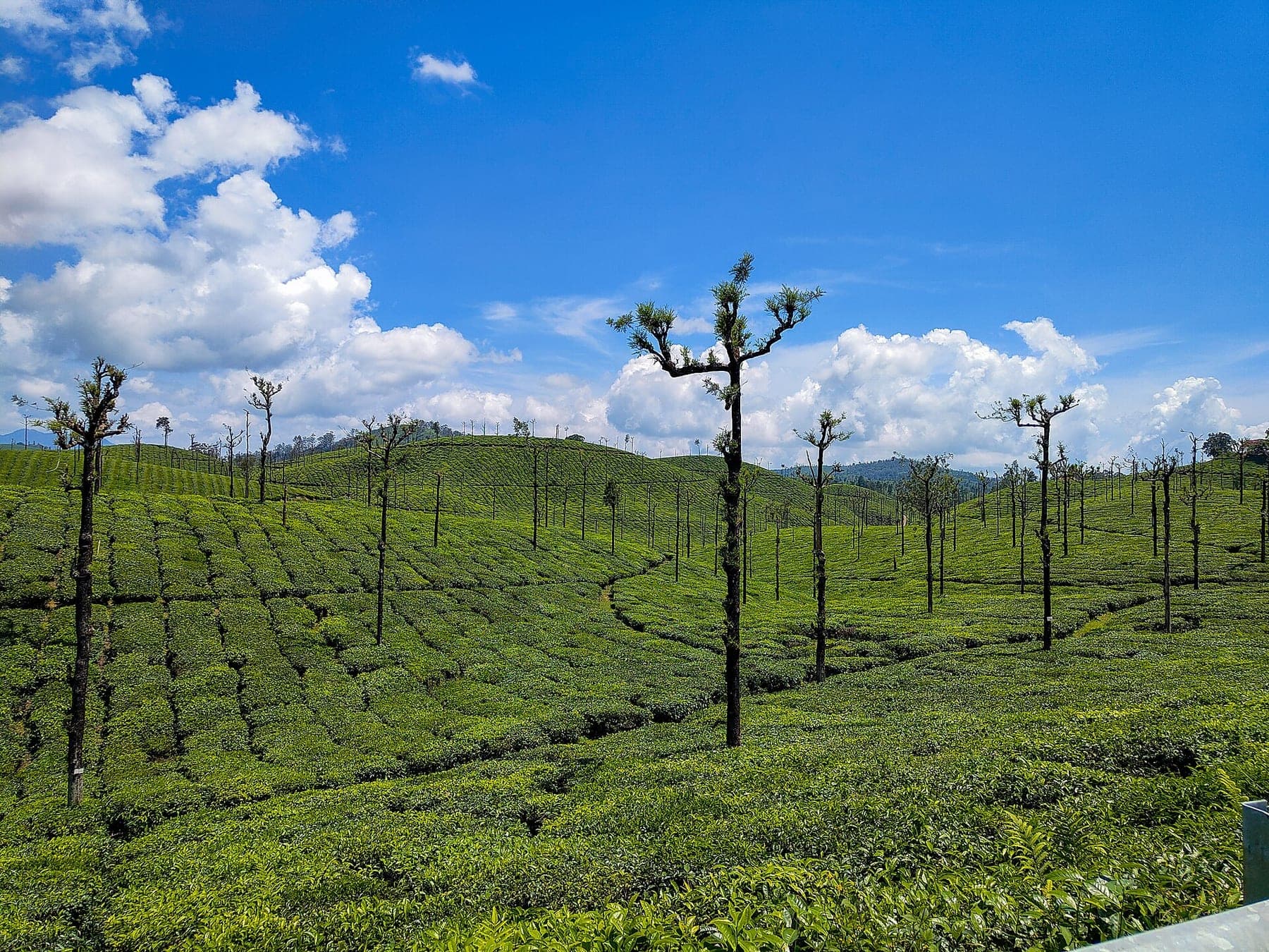 Valparai — Sashvika Cabs