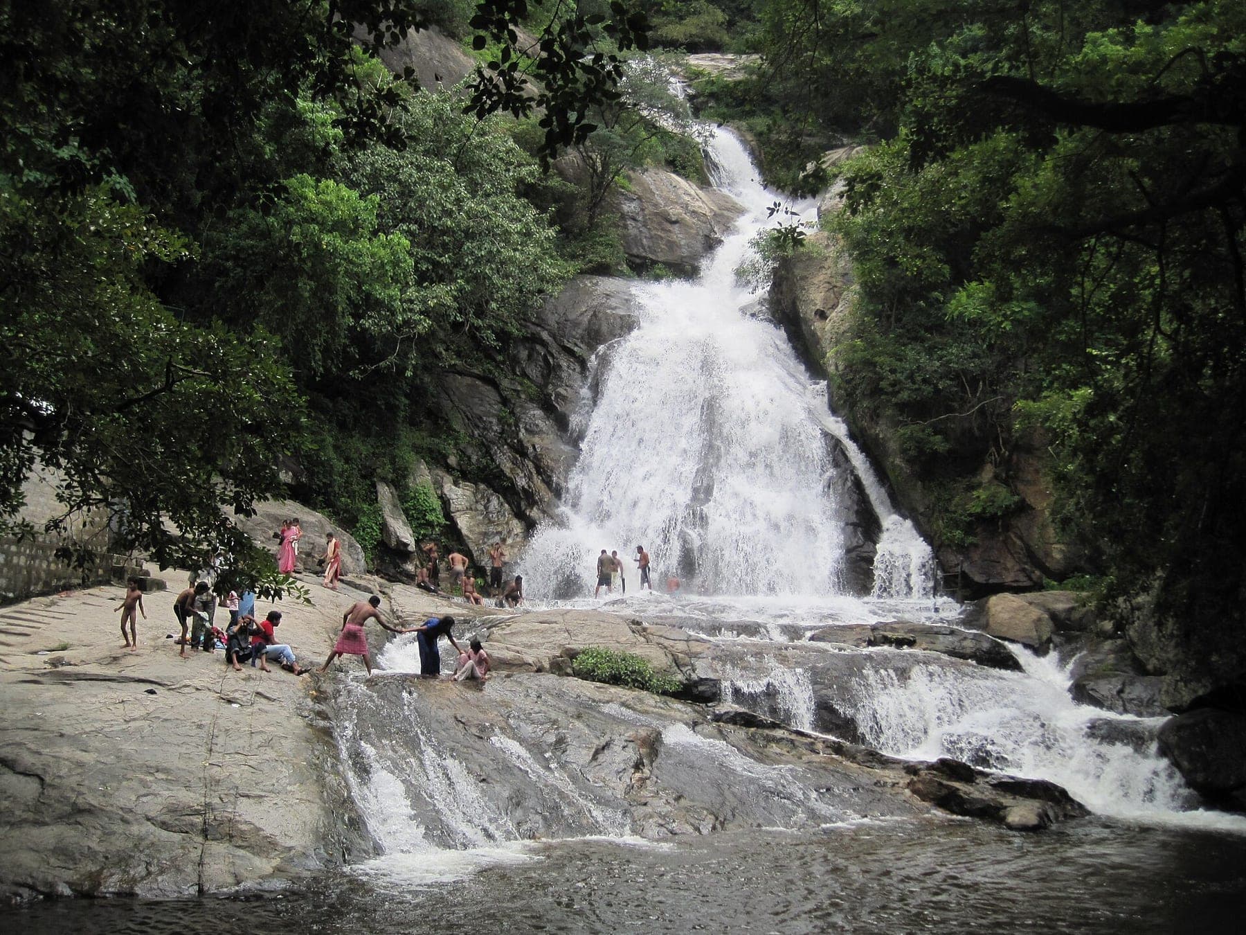 Aliyar & Monkey Falls Trip — Sashvika Cabs